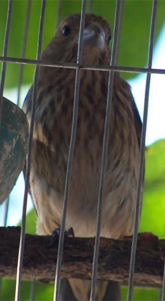 100_2756.JPG