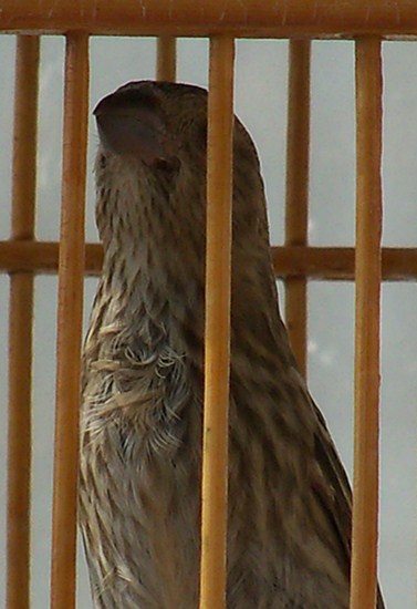 100_2759.JPG