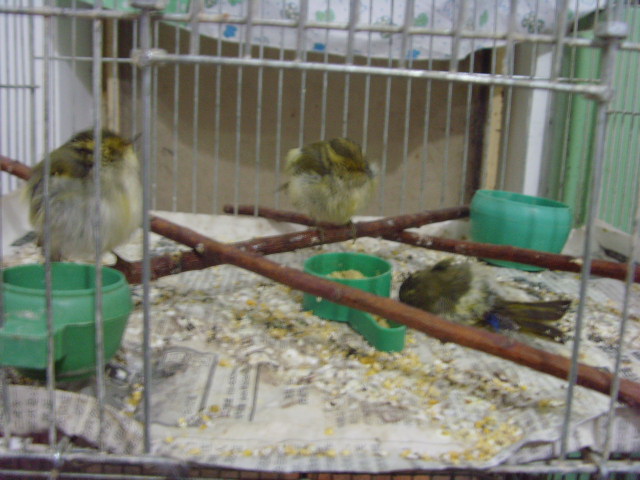 SNV39655.JPG