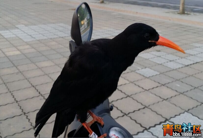 C7G7)YCFHXYL~`J36__BU$S.jpg