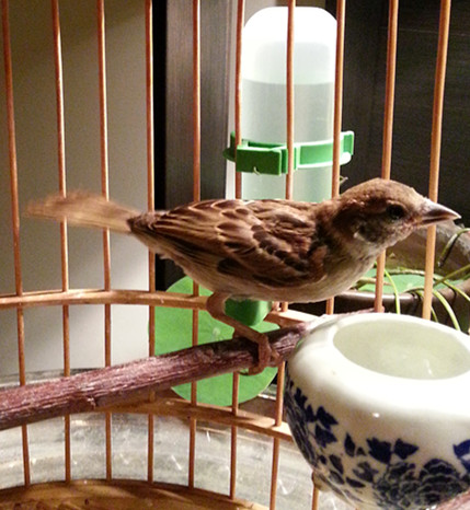 20151008_211443_副本.jpg