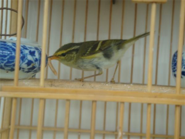DSC05124.JPG