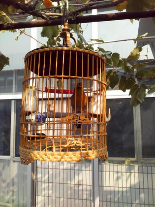 IMG_20151017_095126_调整大小.jpg