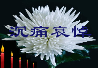 沉痛哀悼.jpg