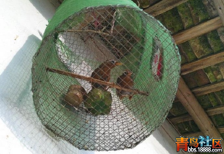 360截图20151009224515439.jpg