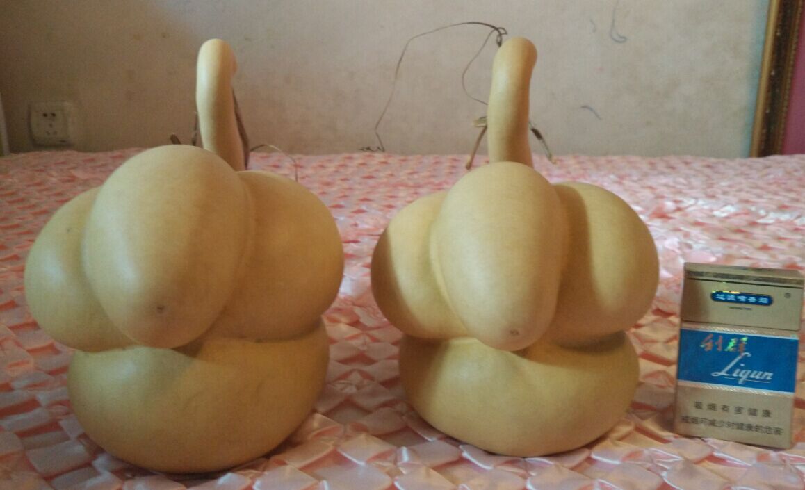 QQ图片20151030104343.jpg