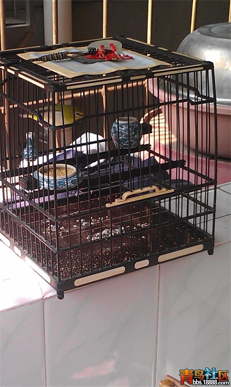 IMAG0510.jpg