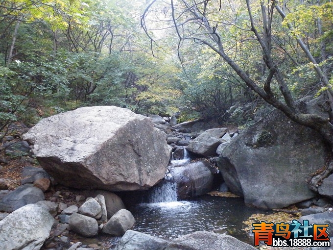 DSCF0743.JPG