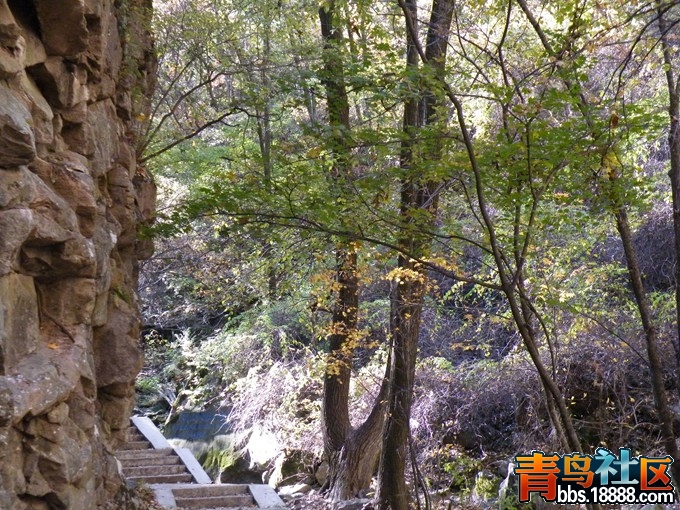 DSCF0761.JPG