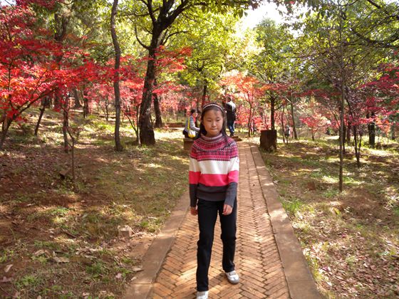 DSCN7726_副本.jpg