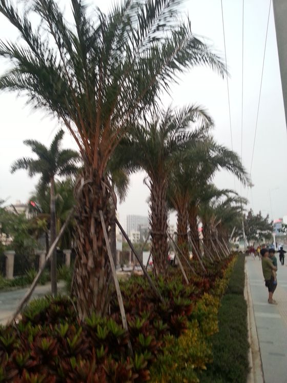 20150208_183019_副本.jpg