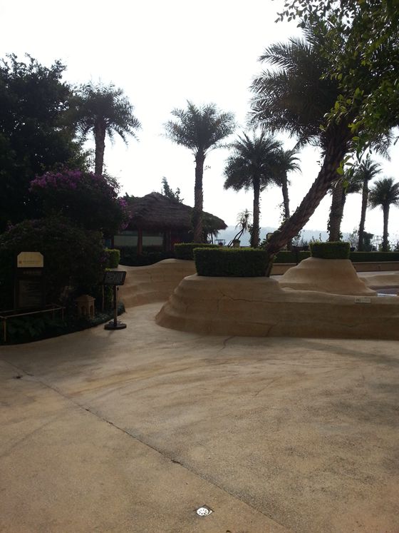 20141108_104405_副本.jpg