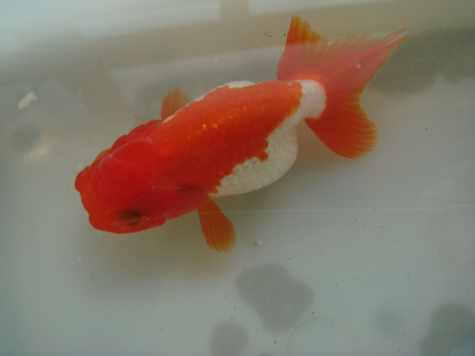 DSC03975_副本.jpg