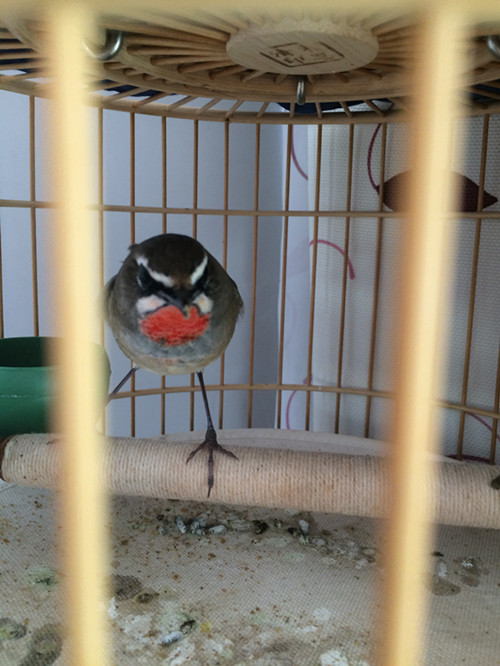 2015-10-04 111605_副本11.jpg