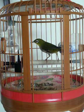 20150218_131348.jpg