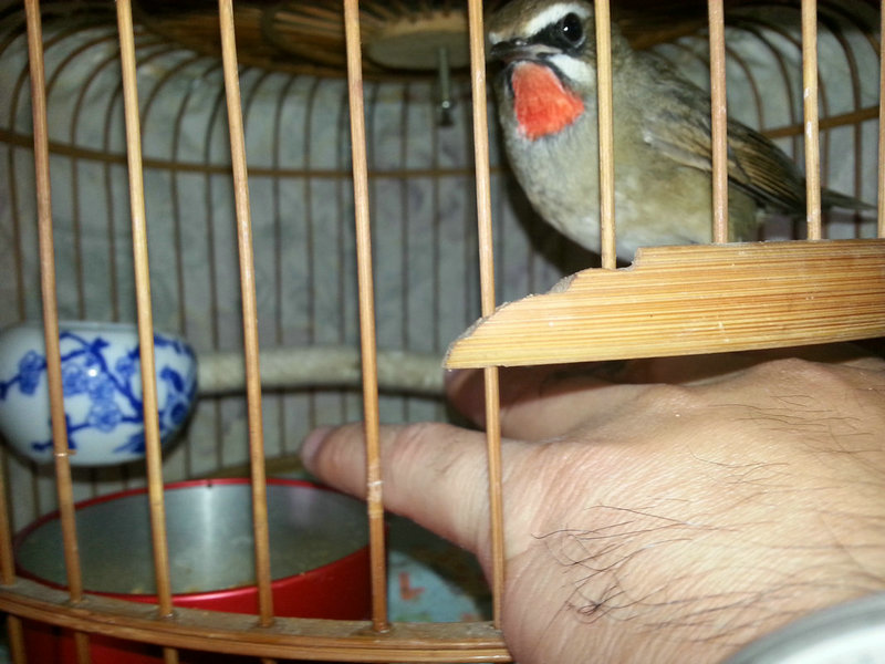 20151009_142414.jpg