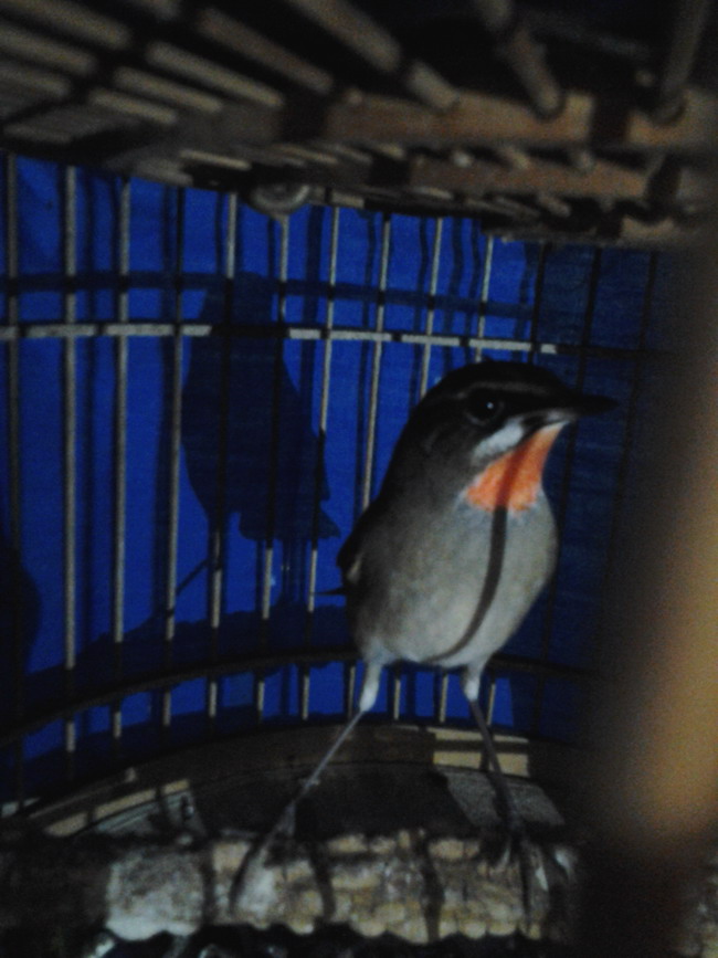 20151014_17595204.jpg