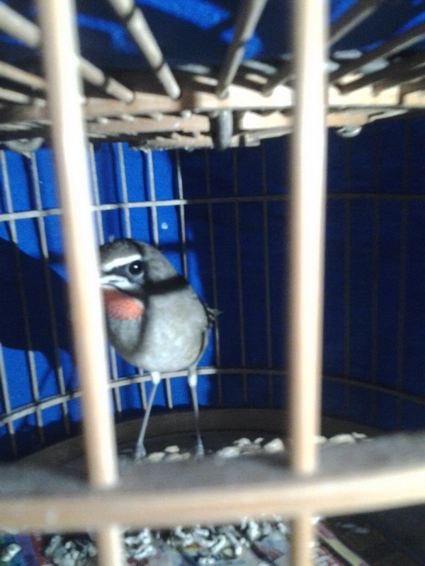20151014_17582201.jpg
