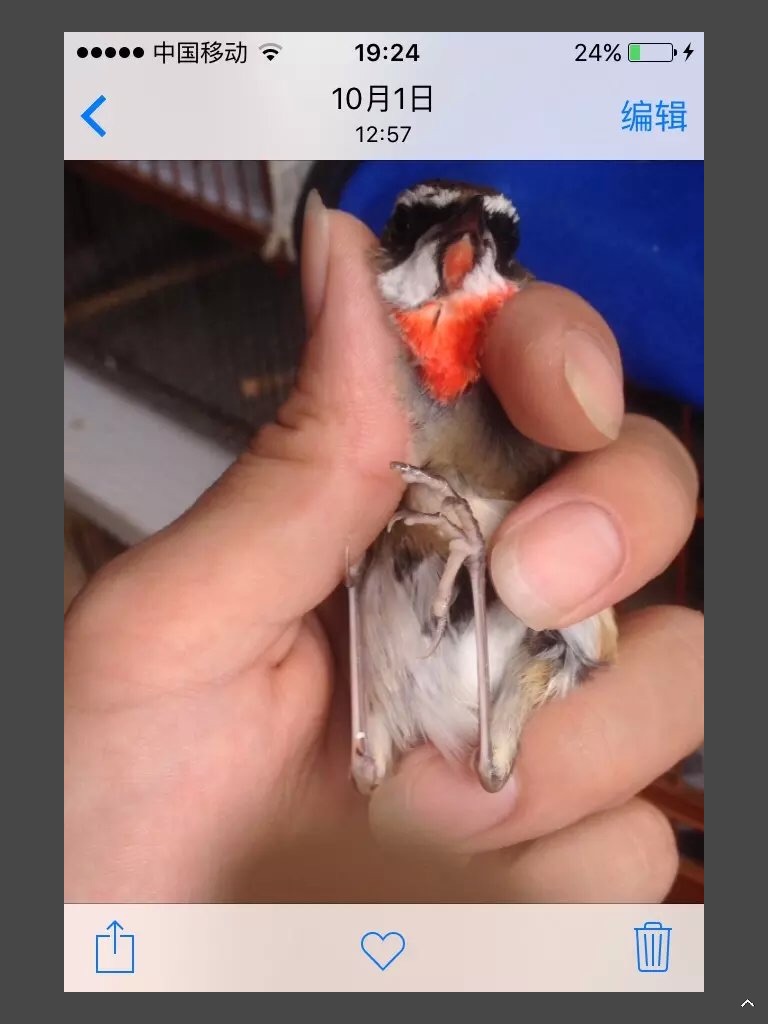 image.jpg