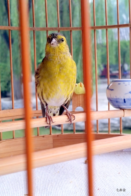 20151006_170203.jpg