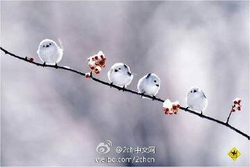 2f738bd4b31c87014bb7a3d6227f9e2f0708fff9.jpg