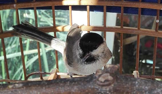 IMG_20151011_132515.jpg