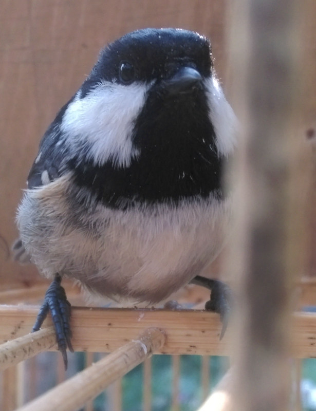 IMAG0045.jpg