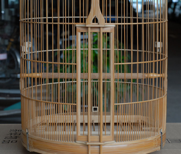 DSC_0019.JPG