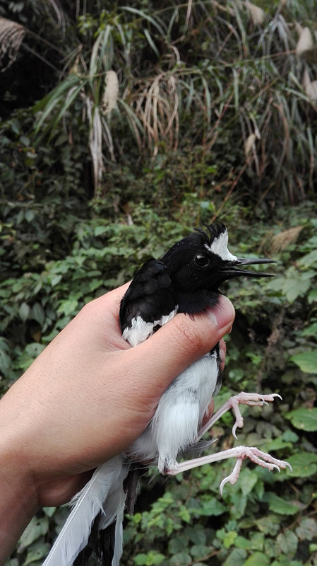 IMG_20151115_162118_副本.jpg