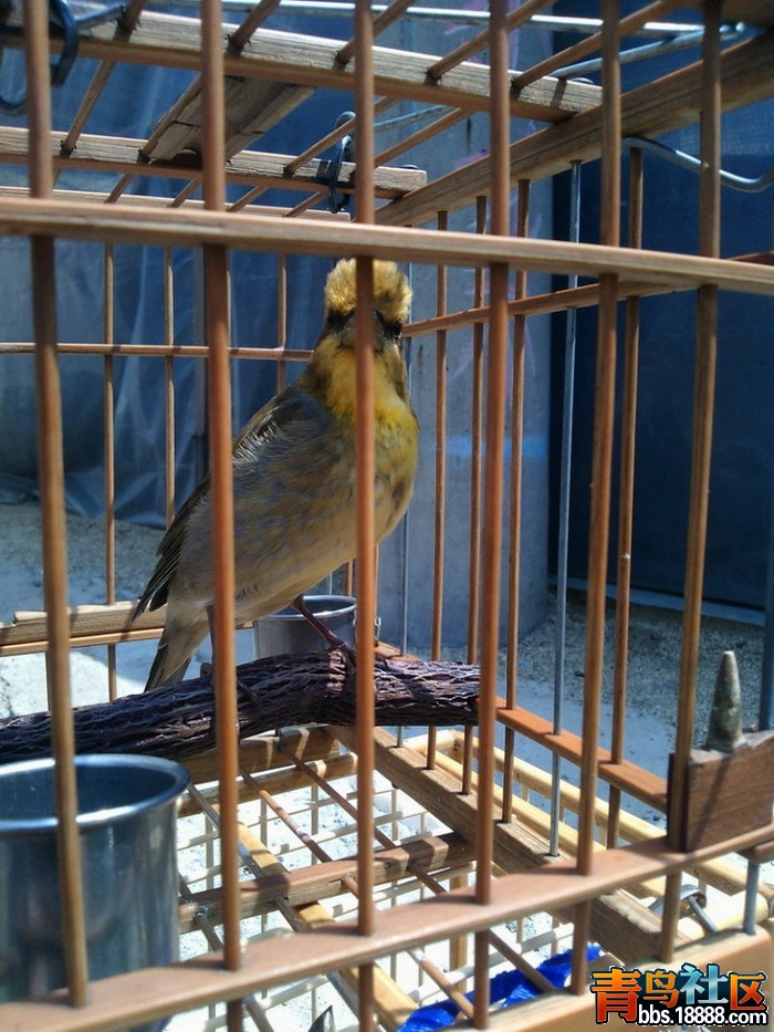 IMG20150614101906.jpg