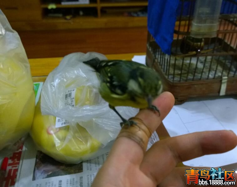 QQ截图20151124124327.jpg