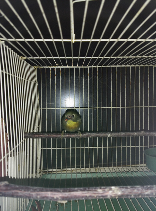 img_20151114_214916_副本.jpg