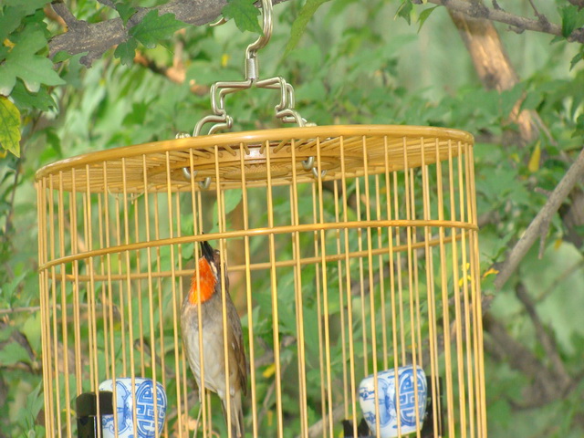DSC03082.jpg