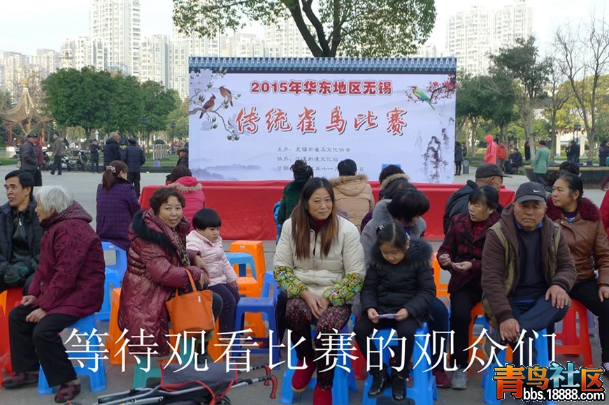 鸟会图片02.jpg