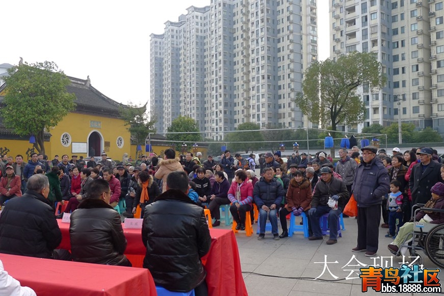 鸟会图片28.jpg