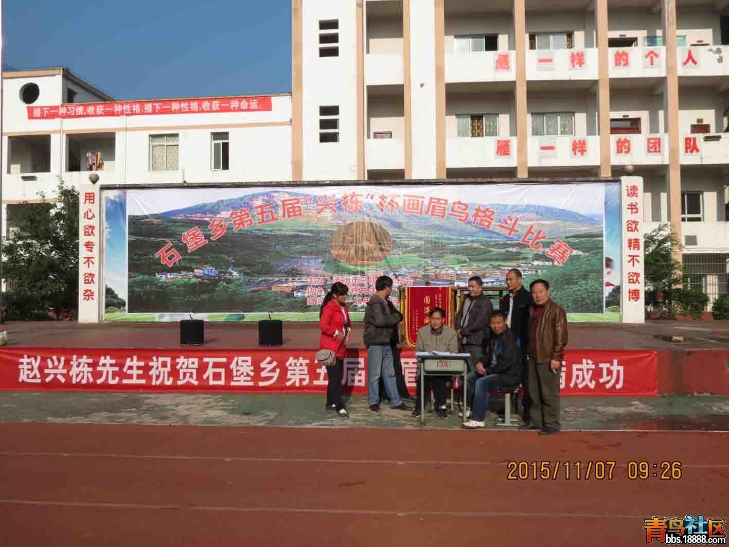 13.jpg