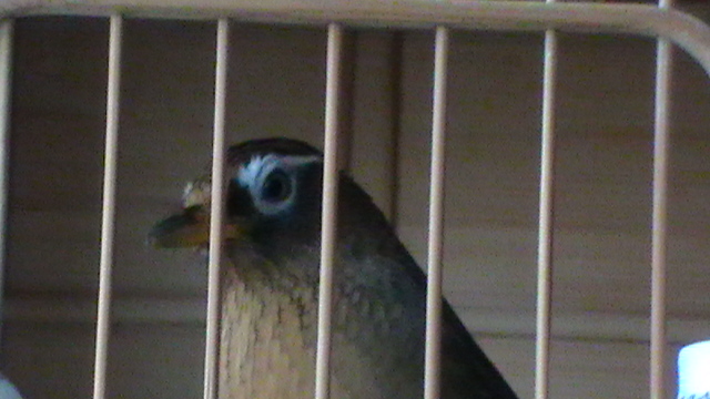 S1470030.JPG