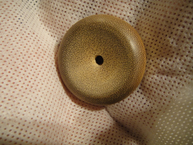 DSC04309.JPG