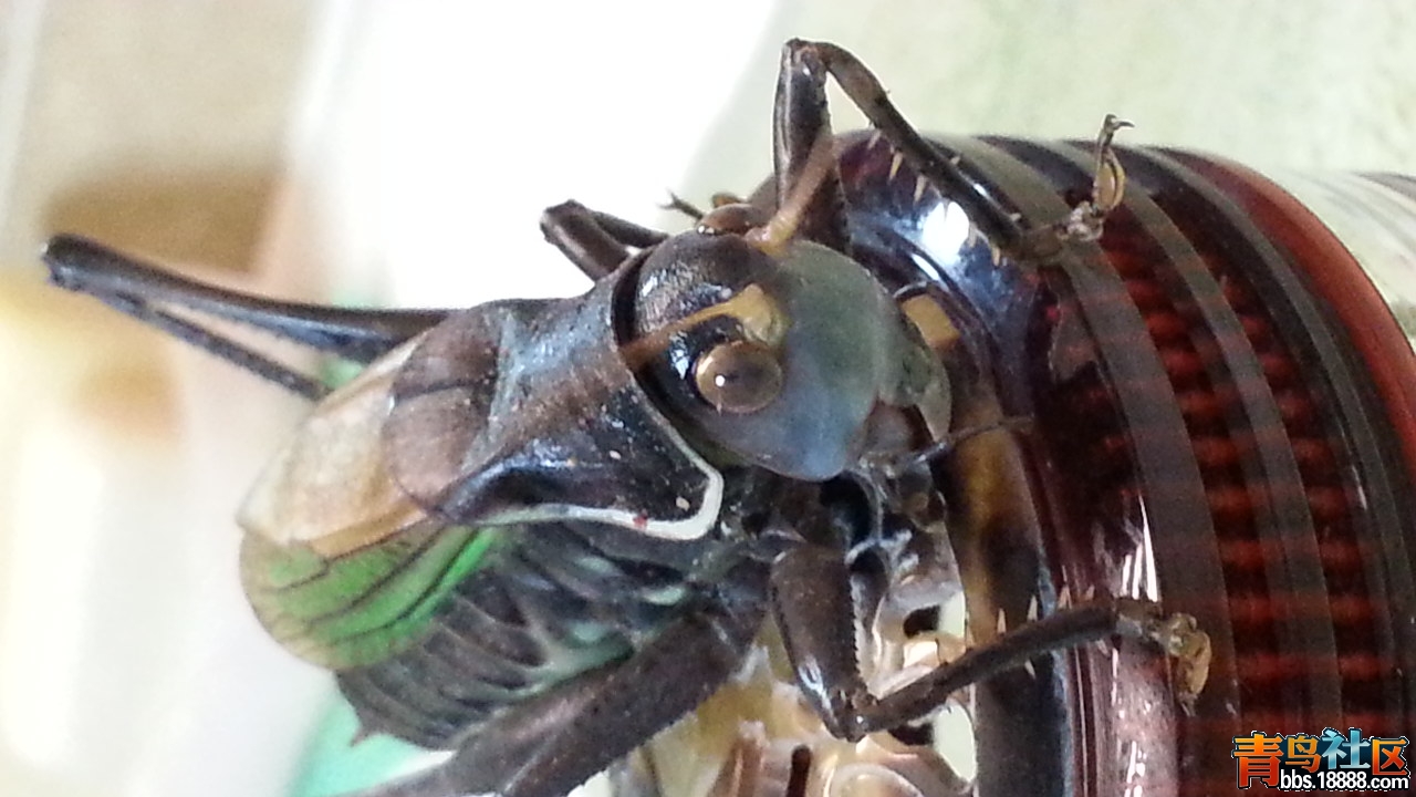 20151104_183032.jpg