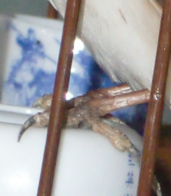 CIMG3560_副本.jpg