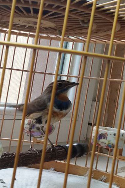20151116_103917.jpg