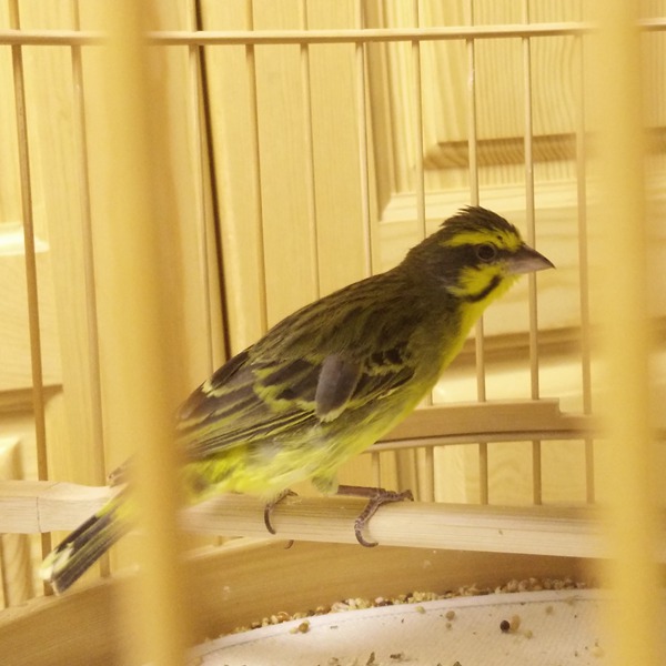 IMG20151124182733.jpg