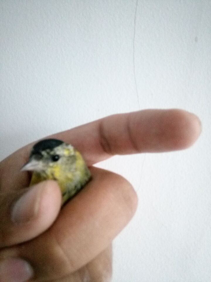 QQ鍥剧墖20151125170800.jpg