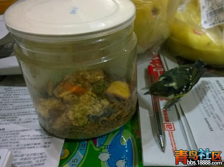 QQ截图20151124124303.jpg