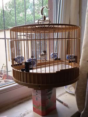 20150519_151553.jpg