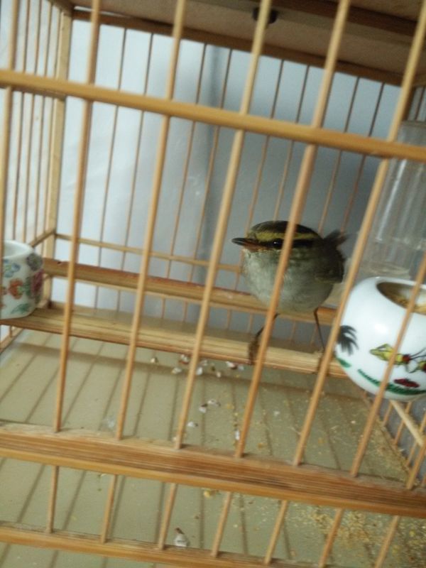 IMG20151123105203.jpg