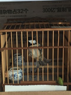 IMG_0435.JPG