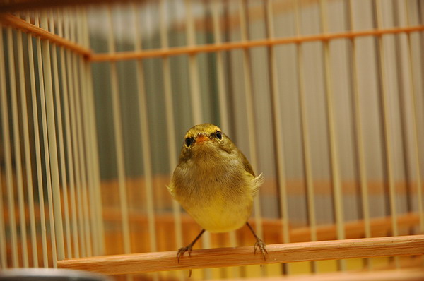 DSC_0125.JPG