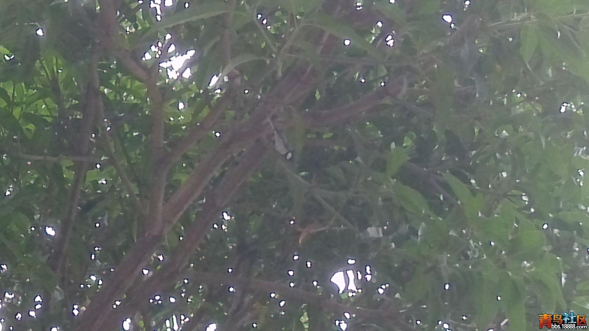896fc2962d7b77ad4f691156e0ec334fe0faf27d.jpg