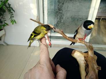 IMG20151219132627.jpg